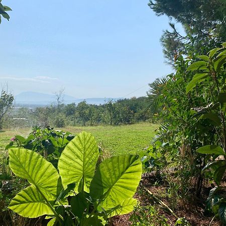 Hotel Nature Kolonje Bagian luar foto
