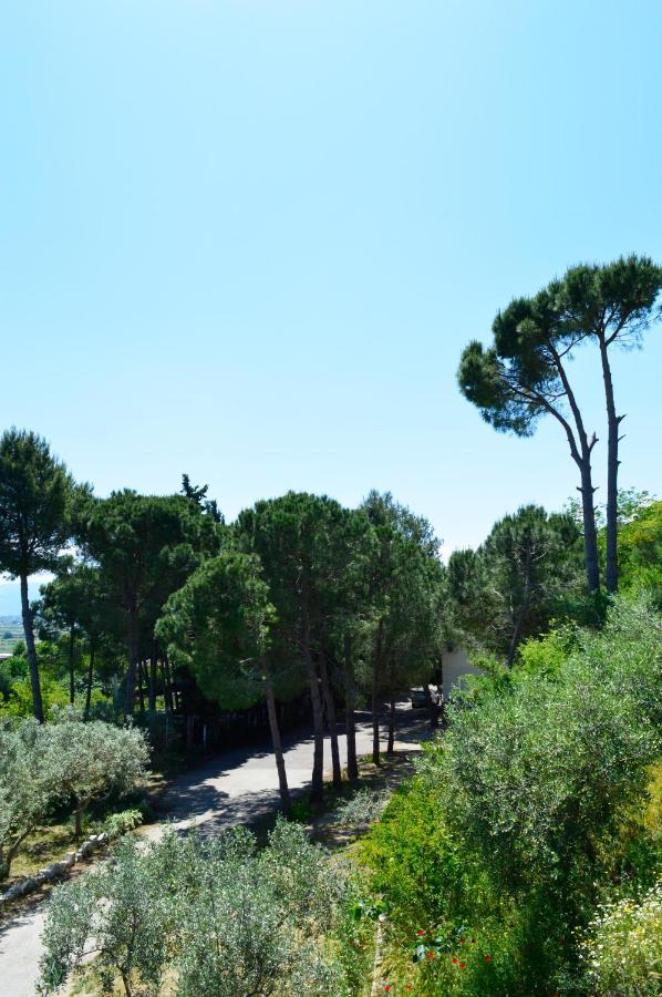 Hotel Nature Kolonje Bagian luar foto