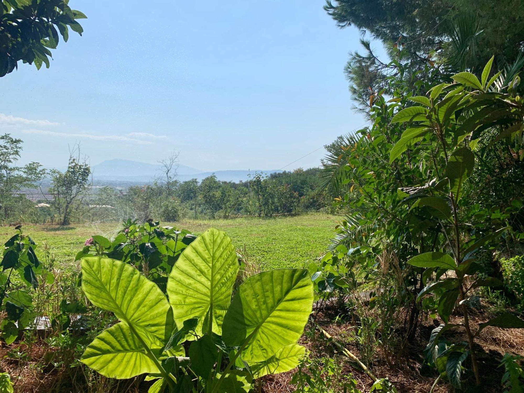 Hotel Nature Kolonje Bagian luar foto