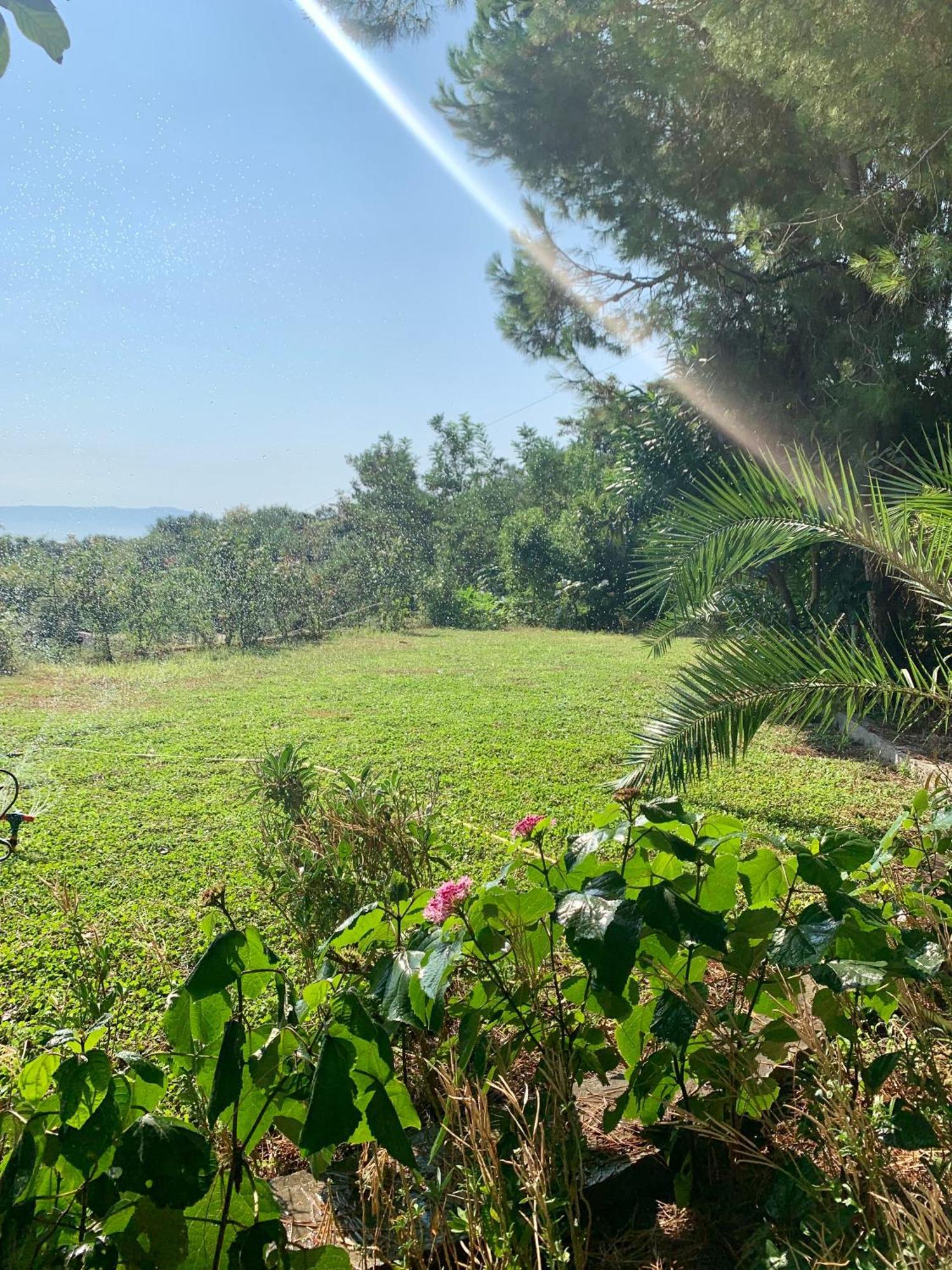 Hotel Nature Kolonje Bagian luar foto